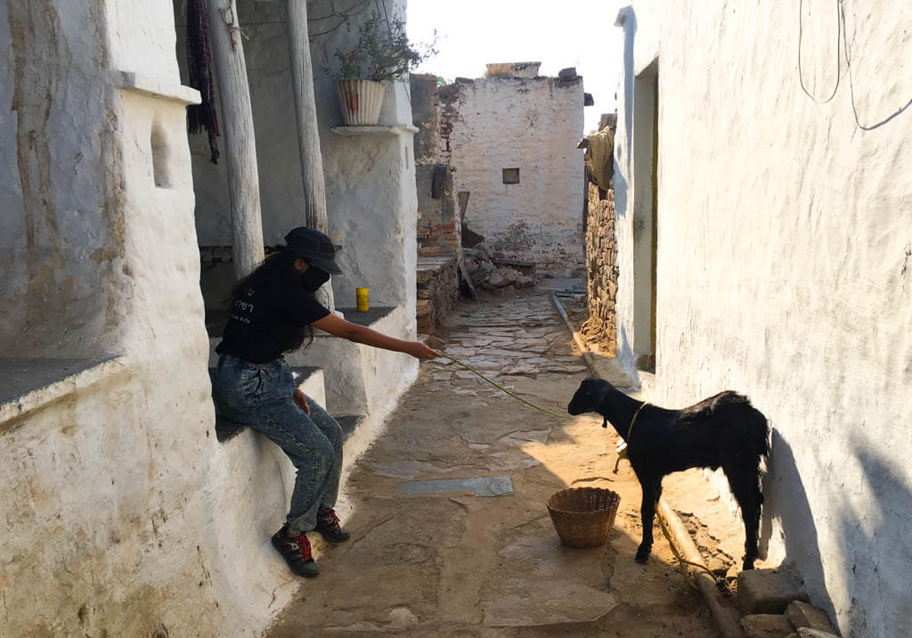 Priya playing with a goat