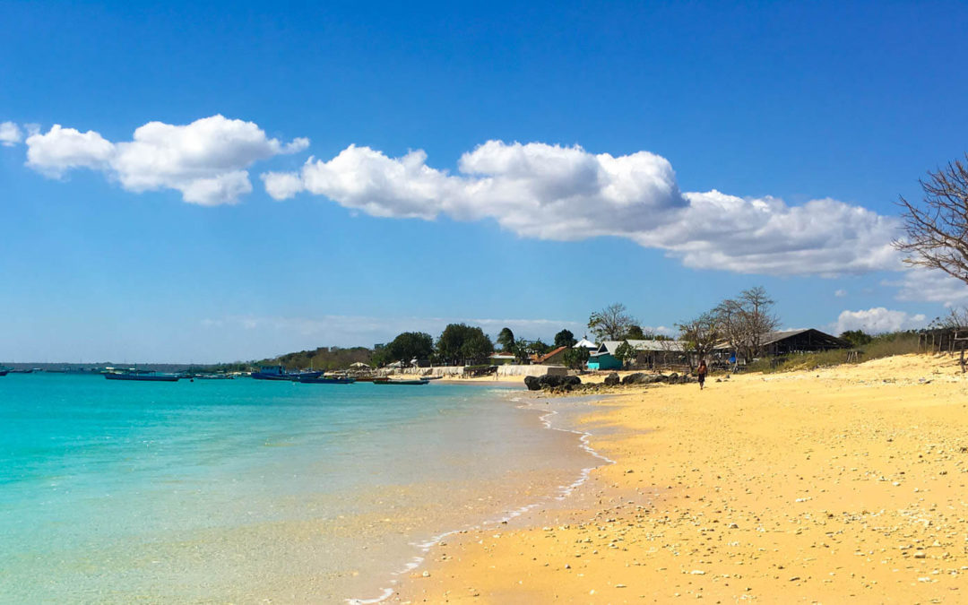 West Timor: Crystal Pools and the Best Pork in the World