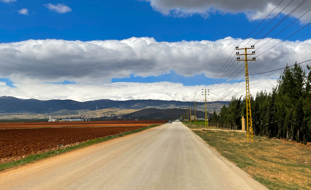 A road stretching into the distance with farmland on one side, trees on the other and mountains in the distance