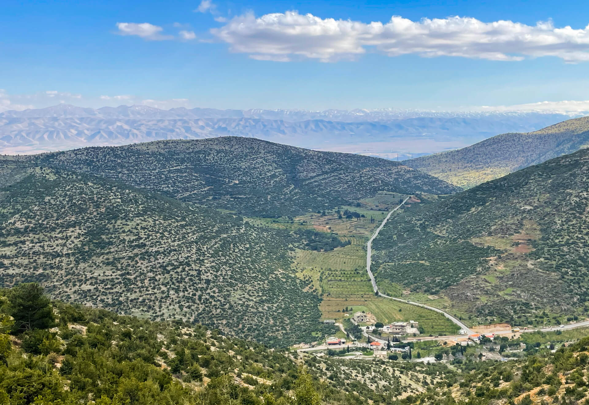 Looking down from mountains covered in lush vegetation towards the Bekaa valley.