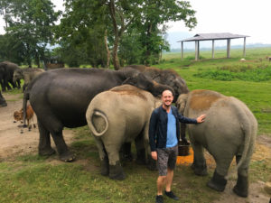 Me standing with three elephants.