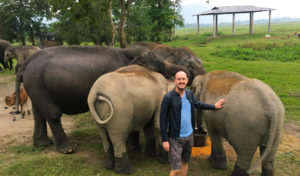 Me standing with 3 elephants touching one with my hand.
