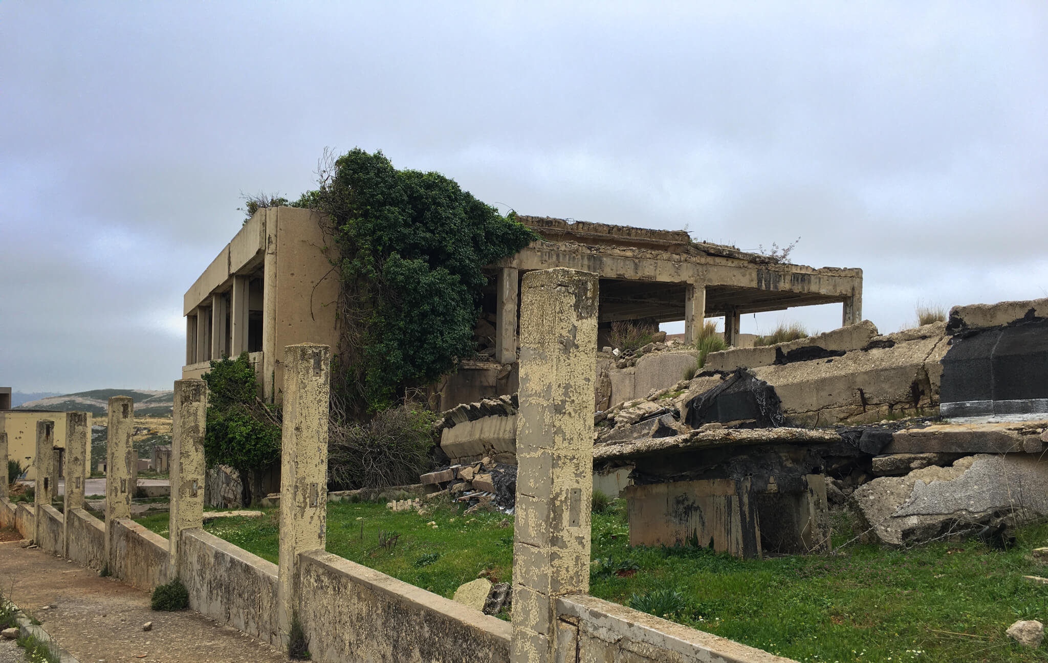 An abandoned building riddled with bullet holes and with vices growing up the front.