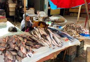 A fishmonger pets her cat lovingly on a table piled high with fresh fish.