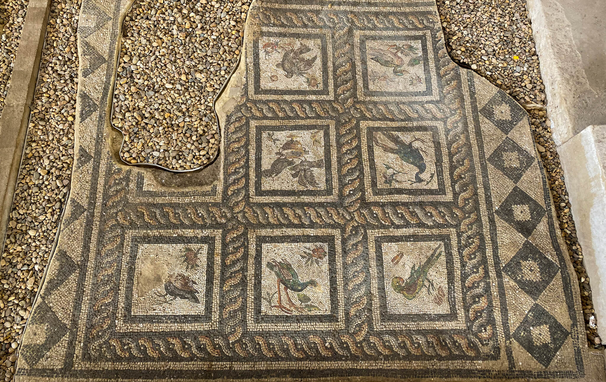 A mosaic containing 7 bird mosaics.  Two others are broken.