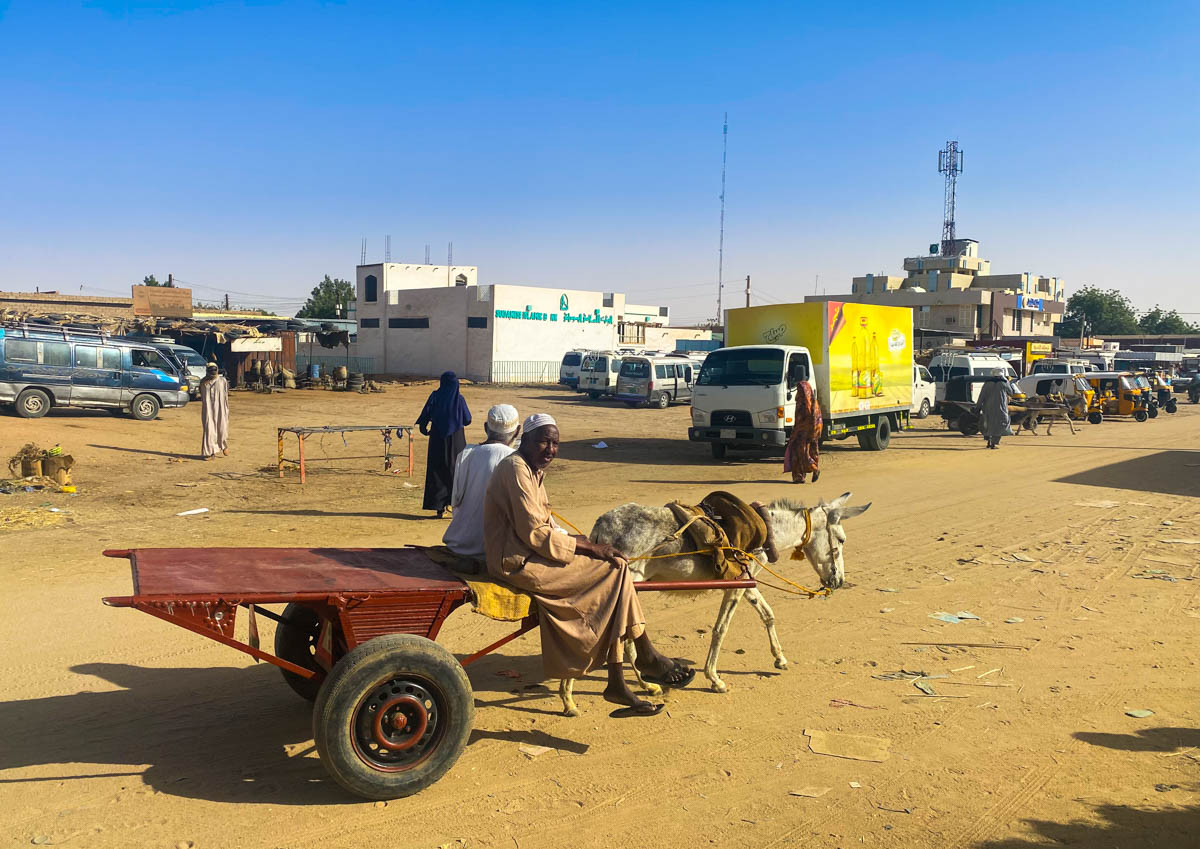 A donkey-drawn cart with two men riding it.