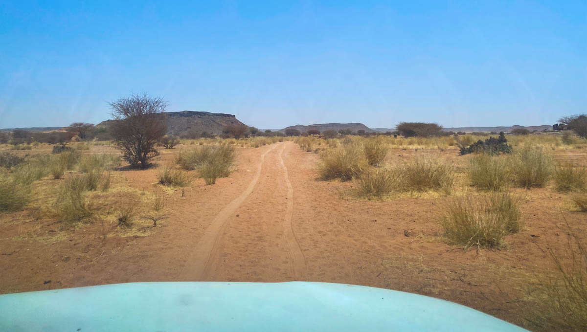 A rought road through the scrubby desert with a mountain in the background. 