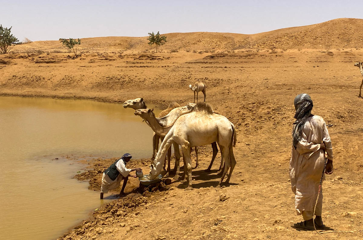 Local tribesmen watering a herd of camels at the Great Hafir.